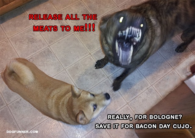 Does goes crazy for meat and bacon